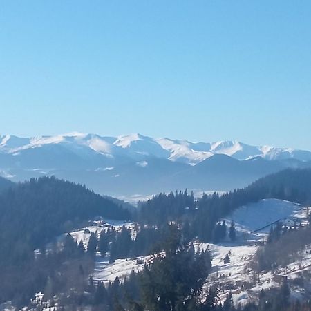 На Березові Krivorovnya Luaran gambar